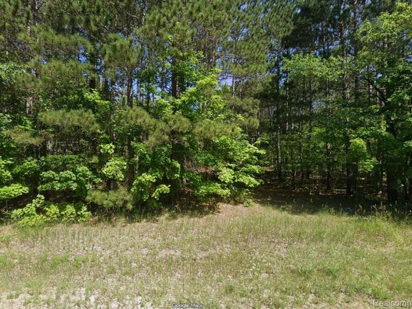 20884 Fewins Road, Inland Township, Mi 49643