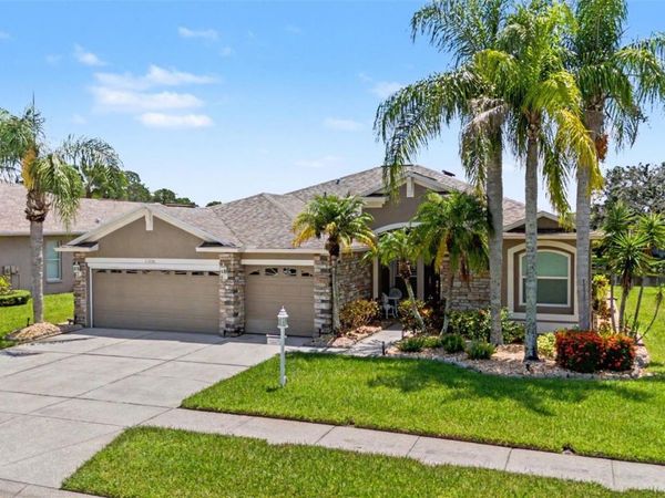 11230 WEDGEMERE DRIVE , TRINITY, FL 34655