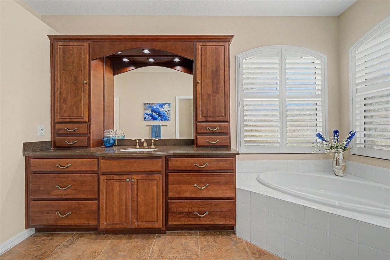 11230 Wedgemere Drive, Trinity, FL 34655 Photo