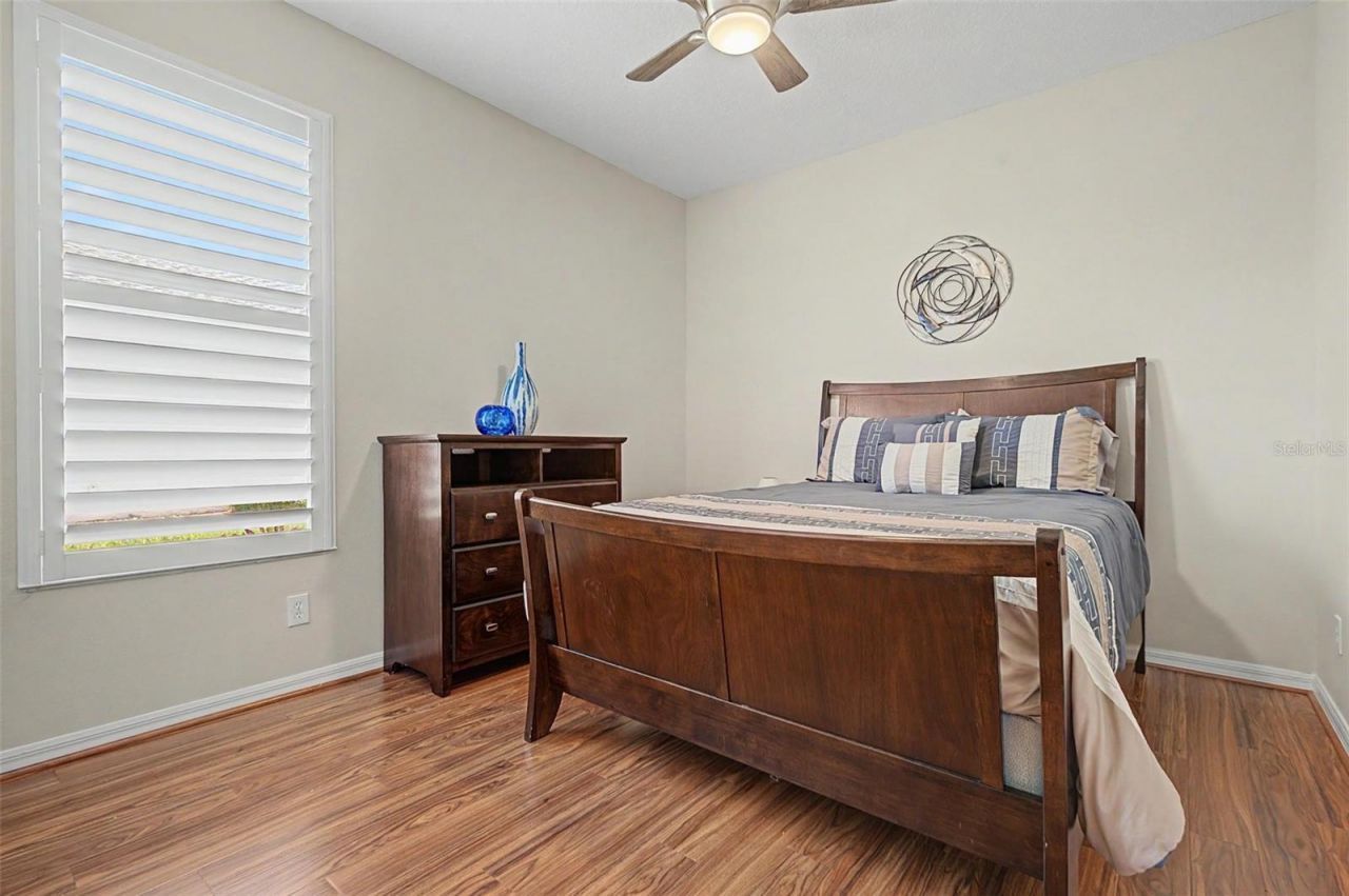 11230 Wedgemere Drive, Trinity, FL 34655 Photo
