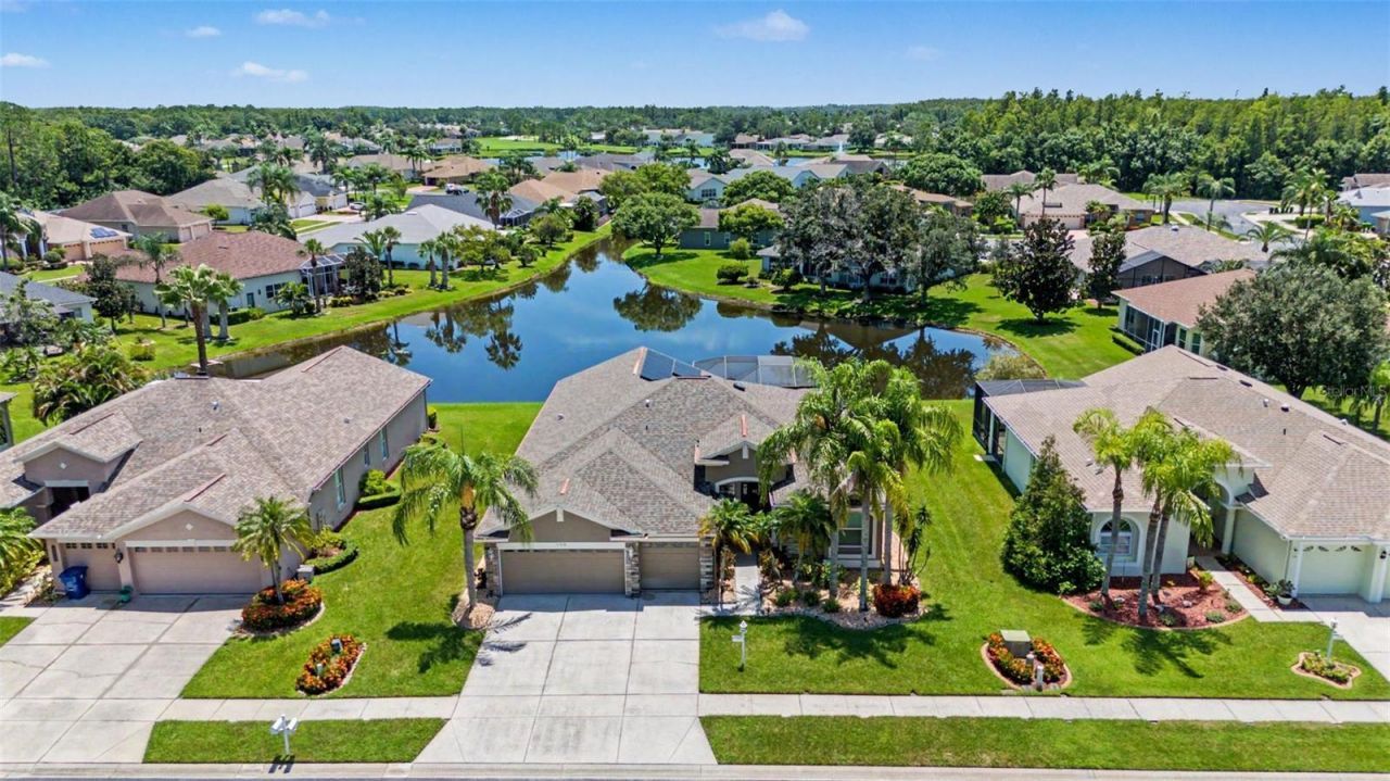 11230 Wedgemere Drive, Trinity, FL 34655 Photo