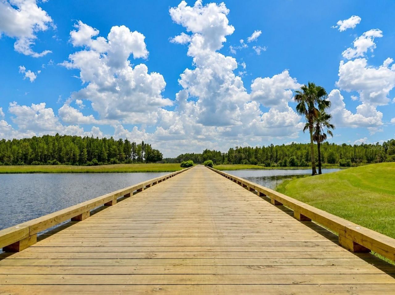 11230 Wedgemere Drive, Trinity, FL 34655 Photo