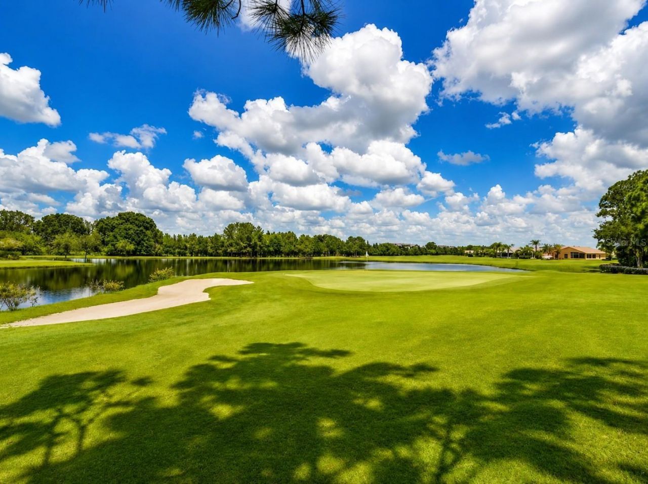 11230 Wedgemere Drive, Trinity, FL 34655 Photo