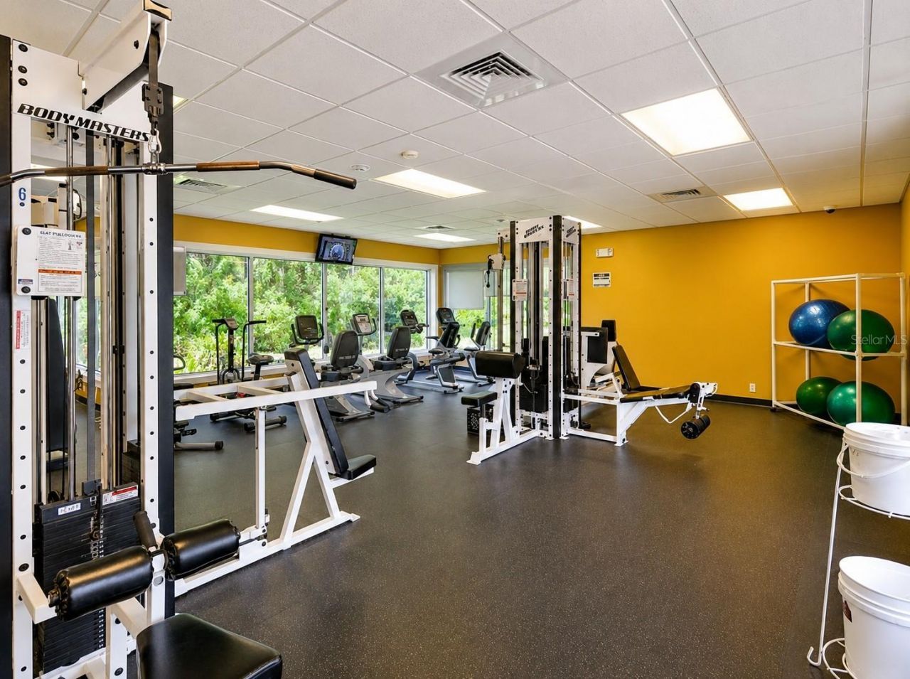 11230 Wedgemere Drive, Trinity, FL 34655 Photo