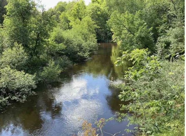 S Forward Road, Falmouth, MI 49632 Main Photo
