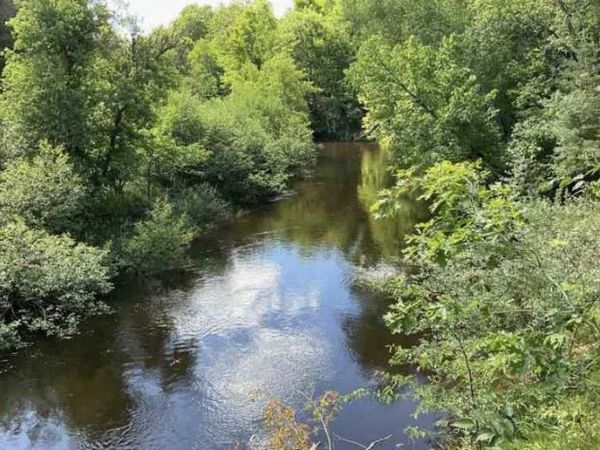 S Forward Road, Falmouth, MI 49632