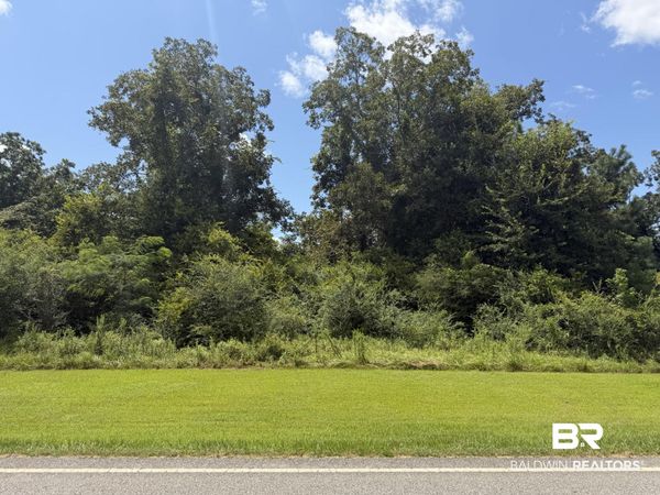 Lot 2 Highway 99, Walnut Hill, FL 32568