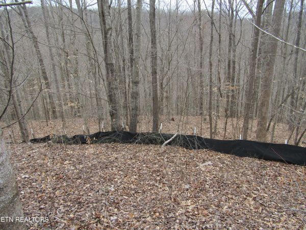 Lot 60 W Bobcat Lane , Wilder, TN 38589