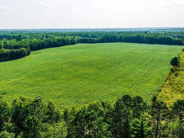 TBD Buzzle Road NW, Shevlin, MN 56676