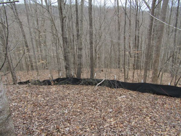 0 Bobcat Lane , Unit 60, Wilder, TN 38589