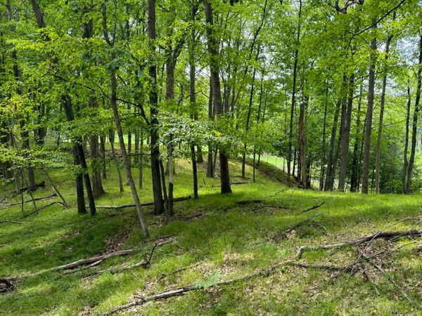9711 Saint Ives Drive, Canadian Lakes, MI 49346