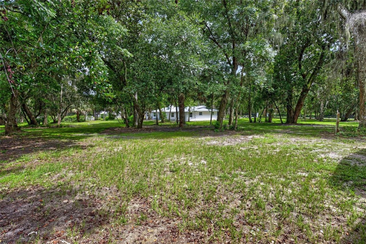 300 Scott Road, Geneva, FL 32732 Photo