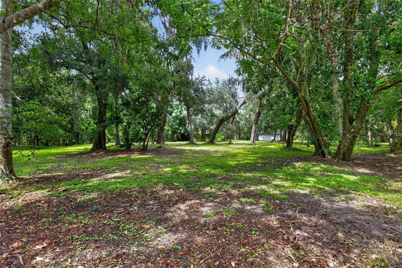 300 Scott Road, Geneva, FL 32732 Photo
