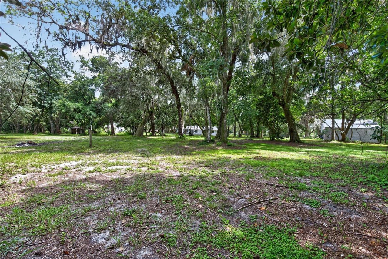 300 Scott Road, Geneva, FL 32732 Photo