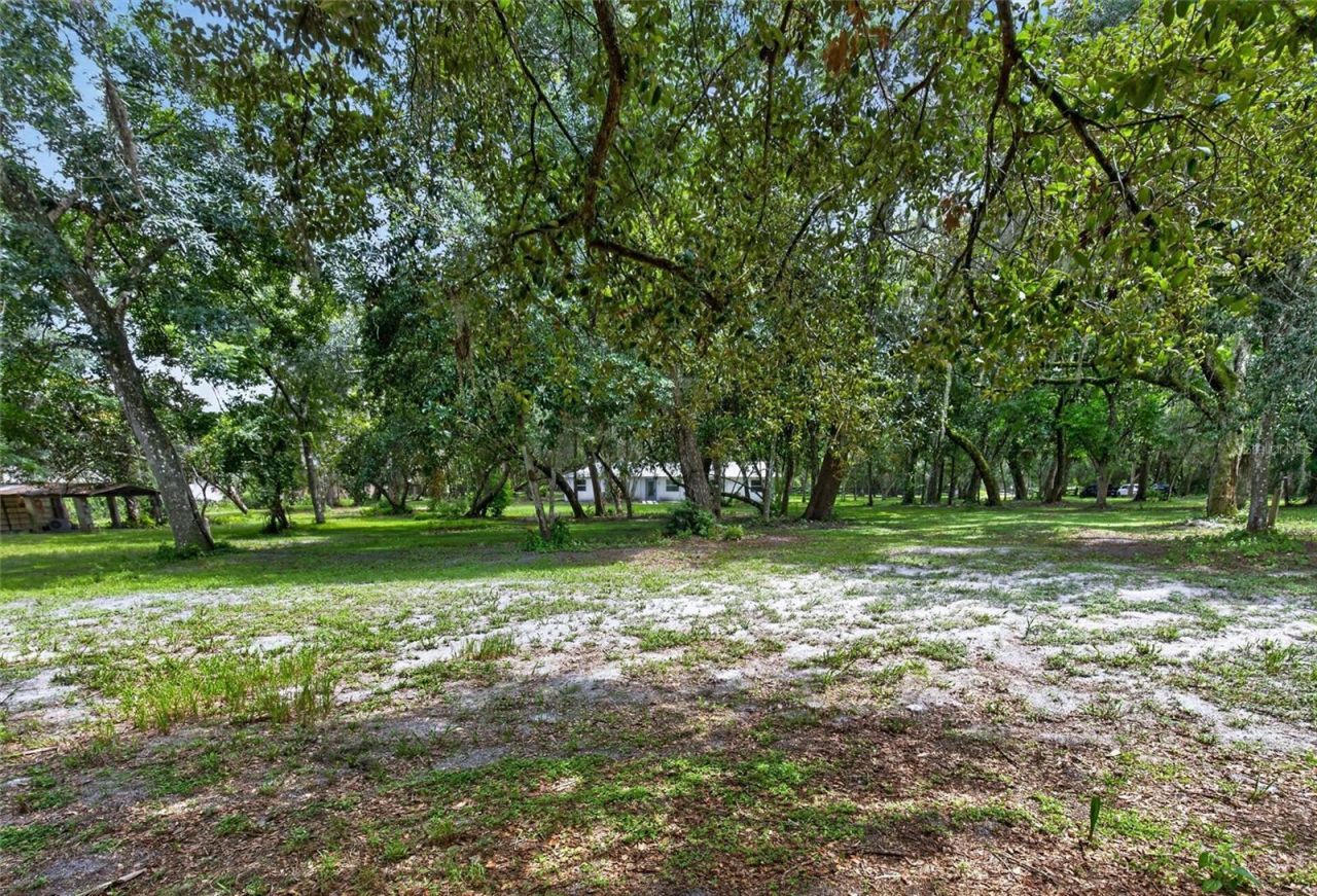 300 Scott Road, Geneva, FL 32732 Photo