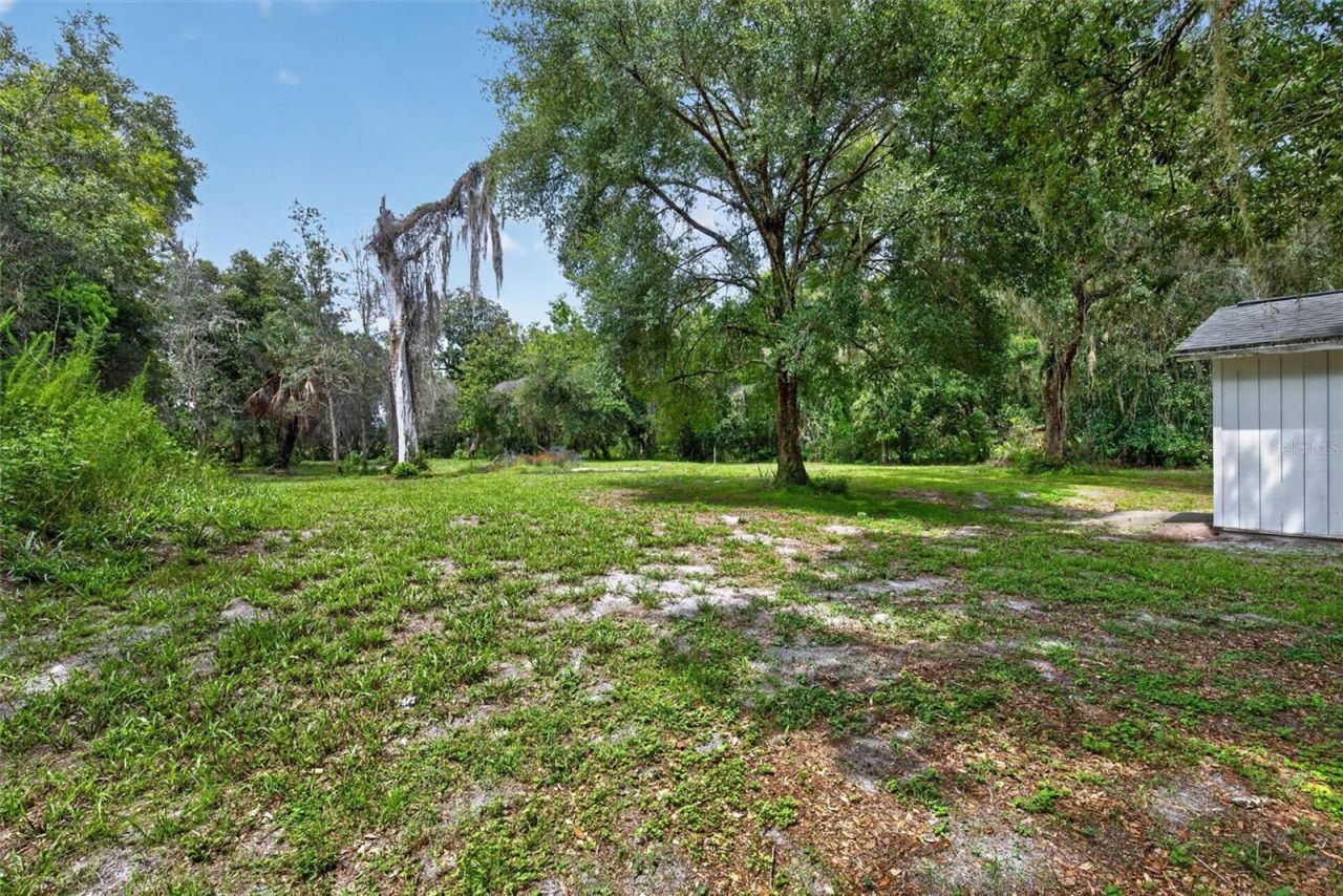 300 Scott Road, Geneva, FL 32732 Photo