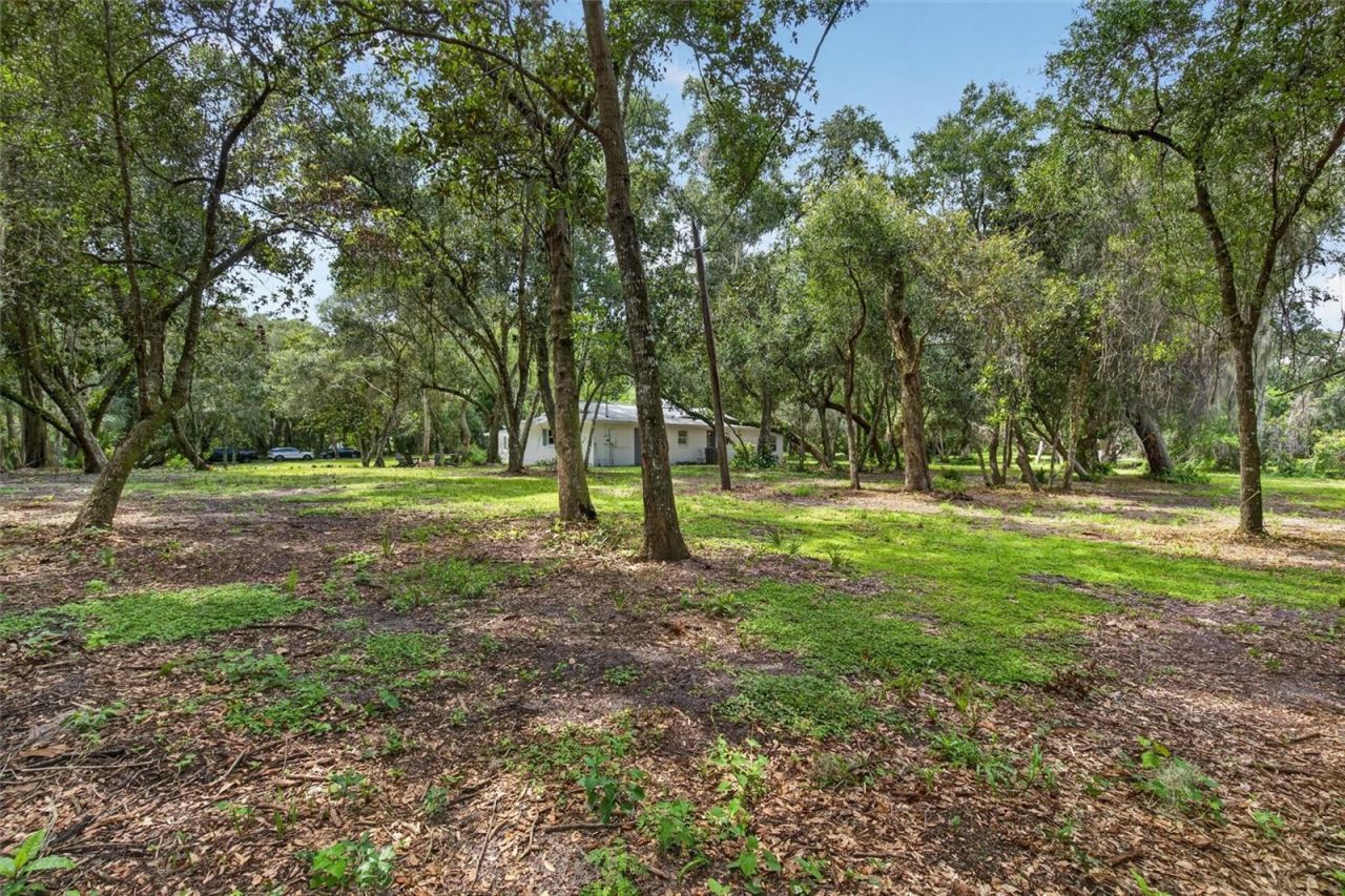 300 Scott Road, Geneva, FL 32732 Photo