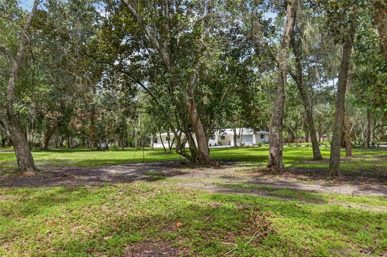 300 Scott Road, Geneva, FL 32732 Photo