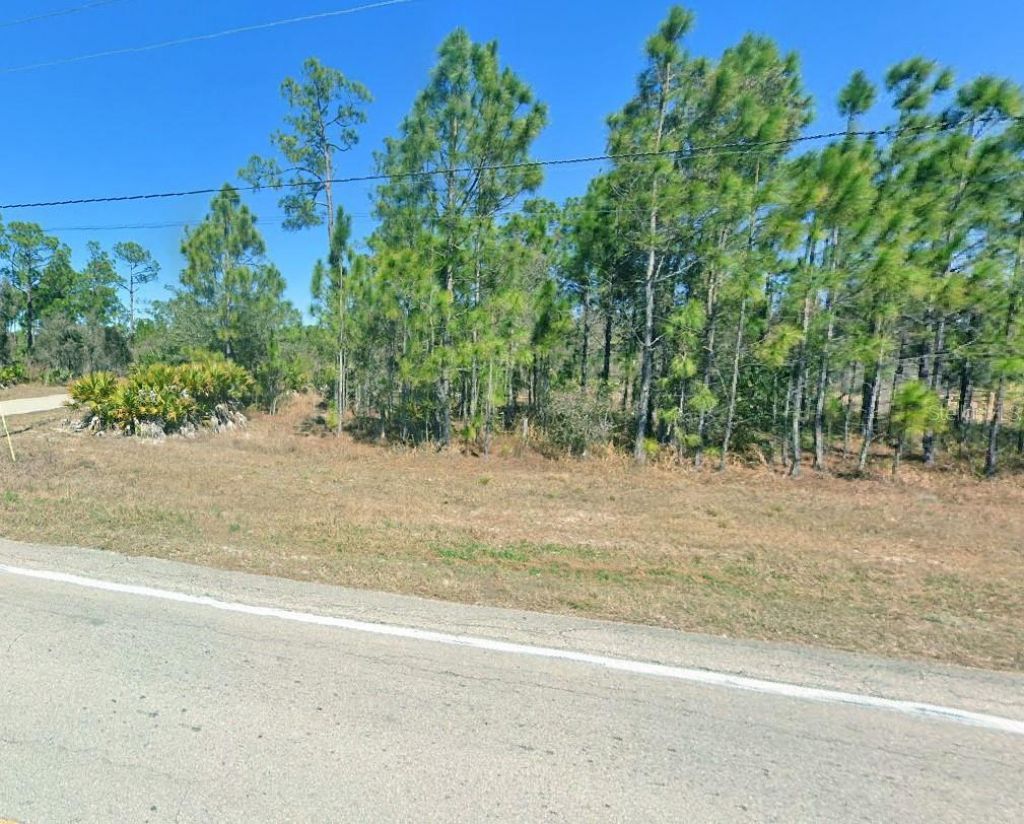 2101 E 10th Street, Lehigh Acres, FL 33936 Photo