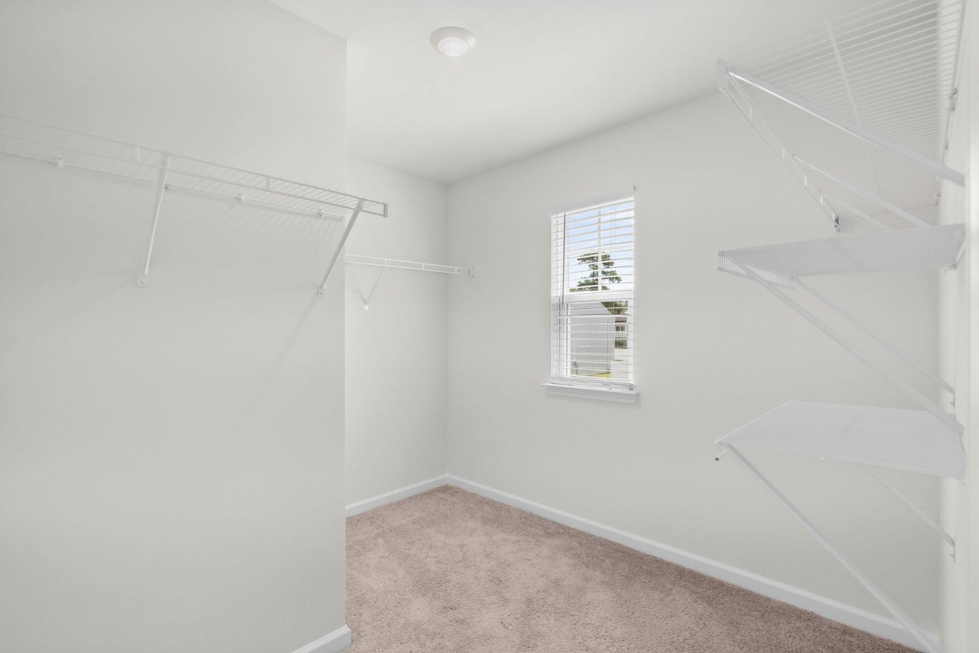 159 Kelsey Ct. Photo 26