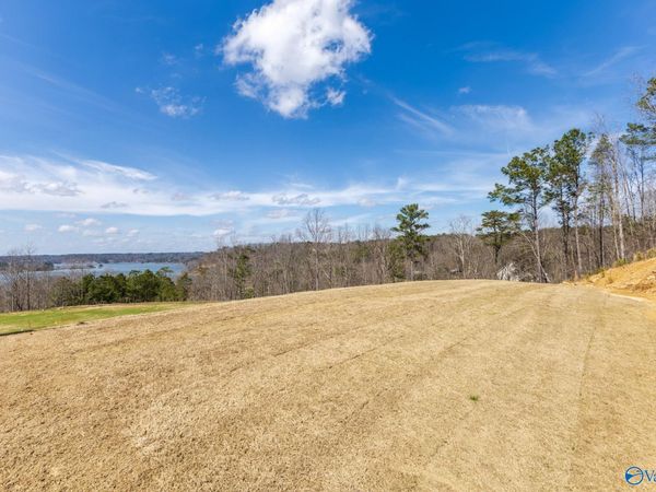 lot C6 County Road 913, Crane Hill, AL 35053