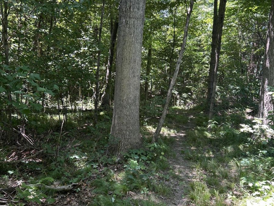 Property Image 21