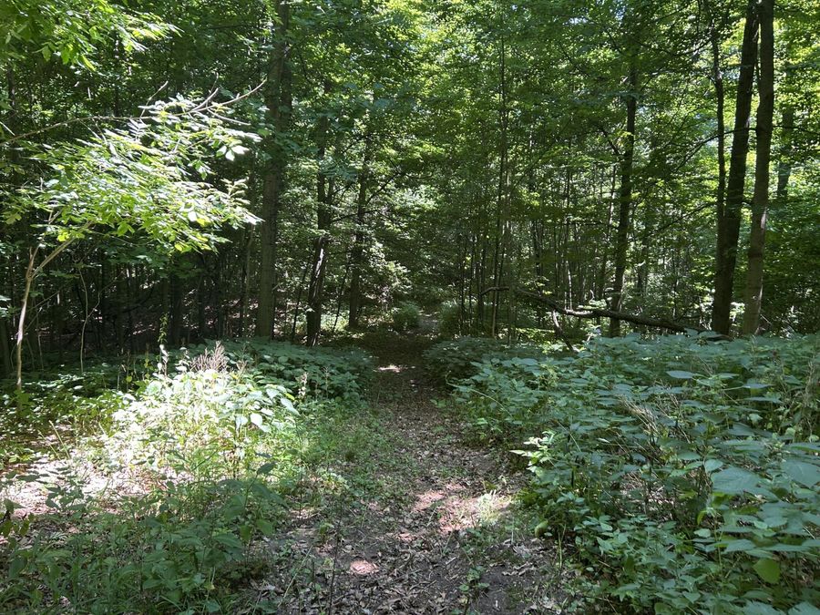 Property Image 25
