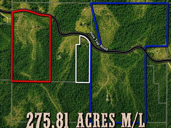 000 Pine Top Road , Hollister, MO 65672