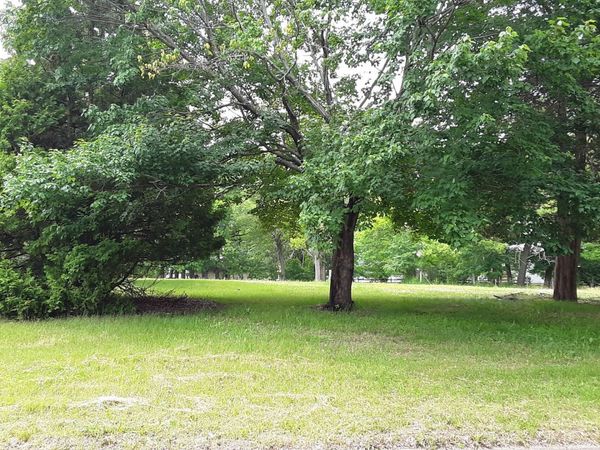 3xx 3rd Street NW, Forest Lake, MN 55025