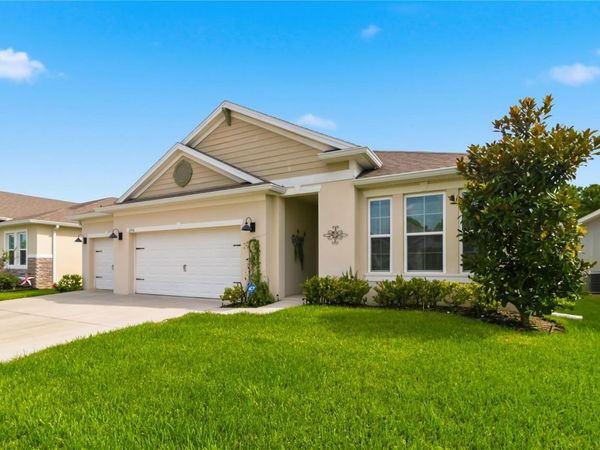2916 HOODED CRANE COVE , ST CLOUD, FL 34773