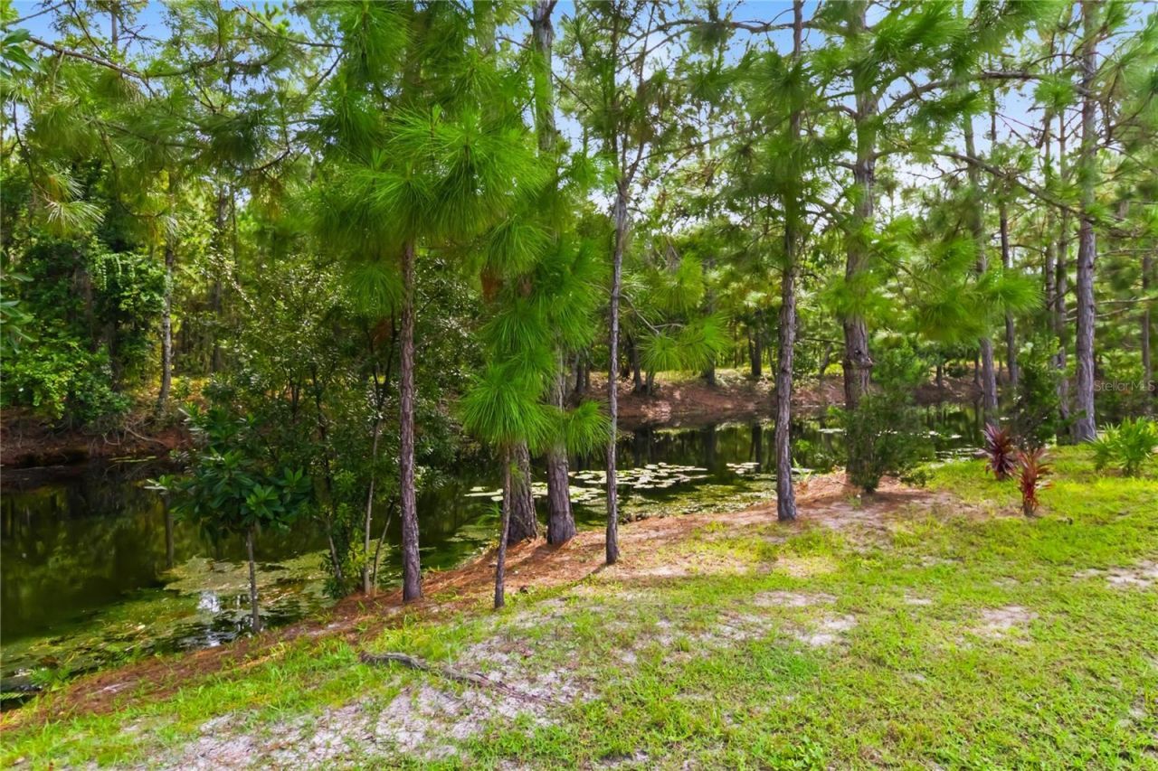 2916 Hooded Crane Cove , Saint Cloud, FL 34773 Photo