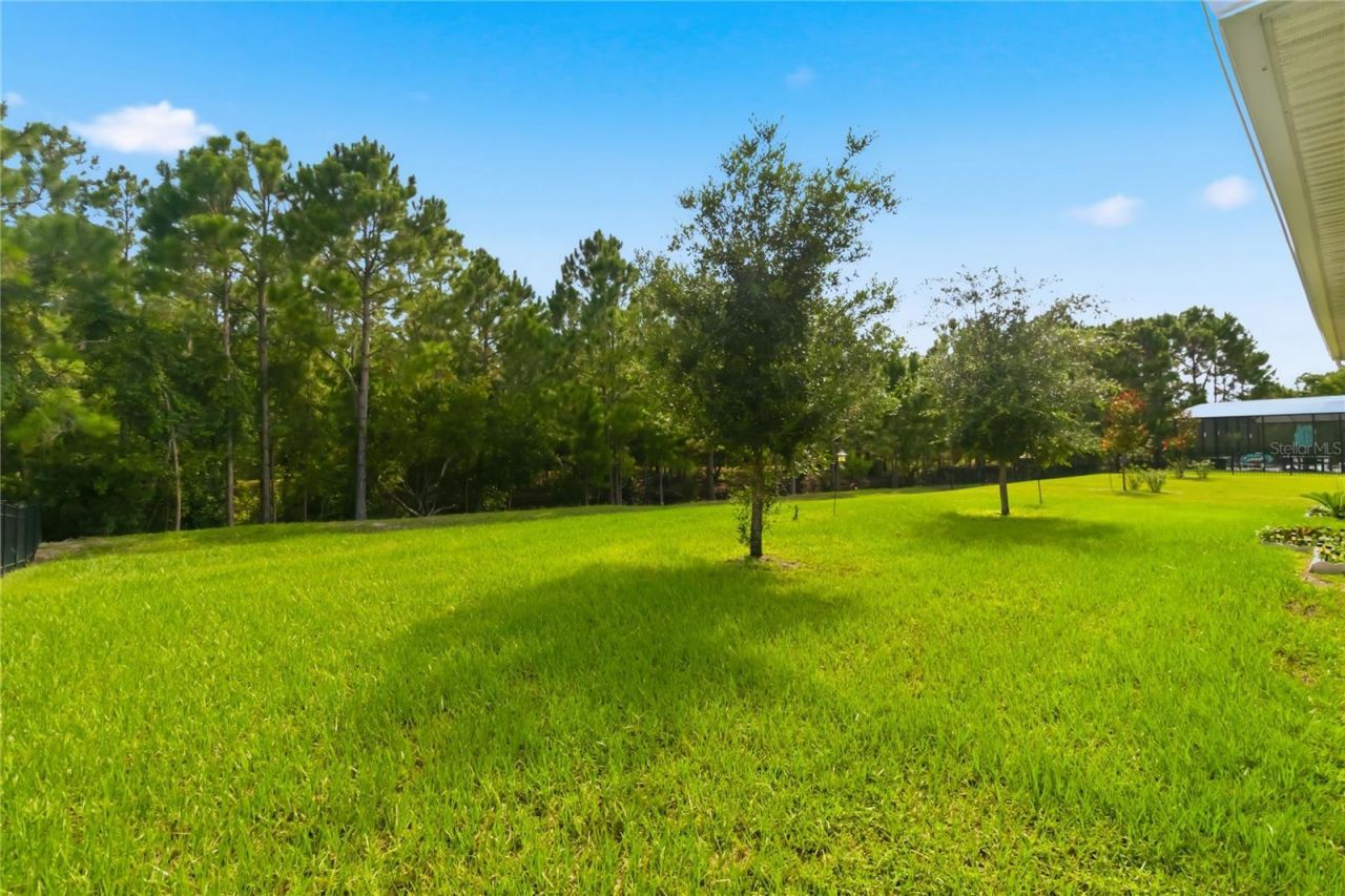 2916 Hooded Crane Cove , Saint Cloud, FL 34773 Photo