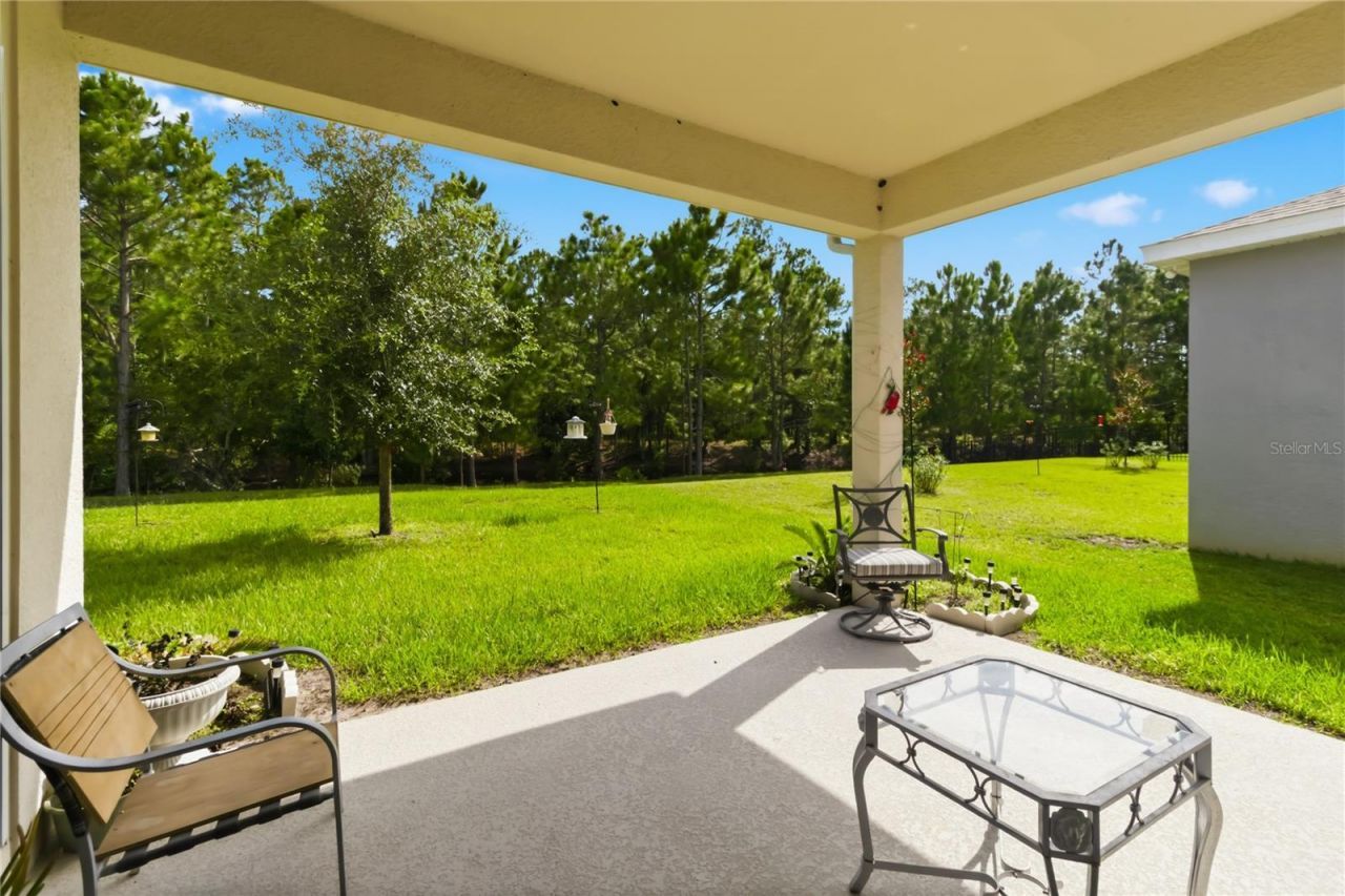 2916 Hooded Crane Cove , Saint Cloud, FL 34773 Photo