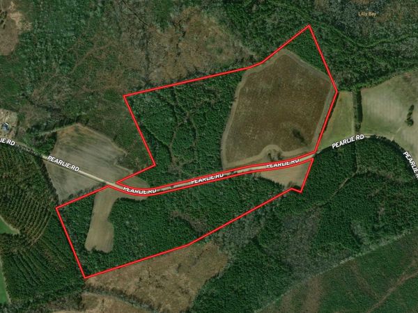TBD Pearlie Dr. , Dillon, SC 29536