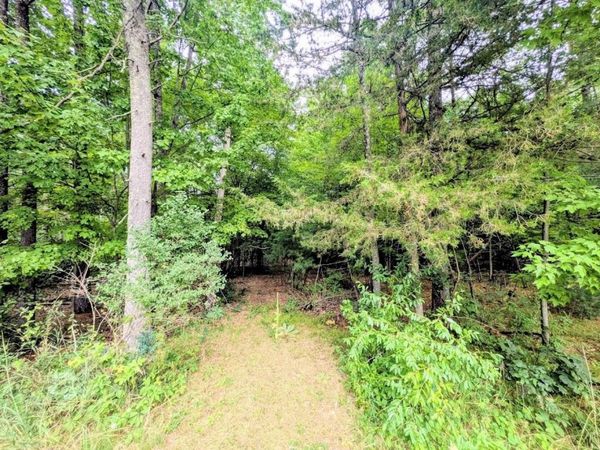 0 County Road C Road, Arkdale, WI 54613