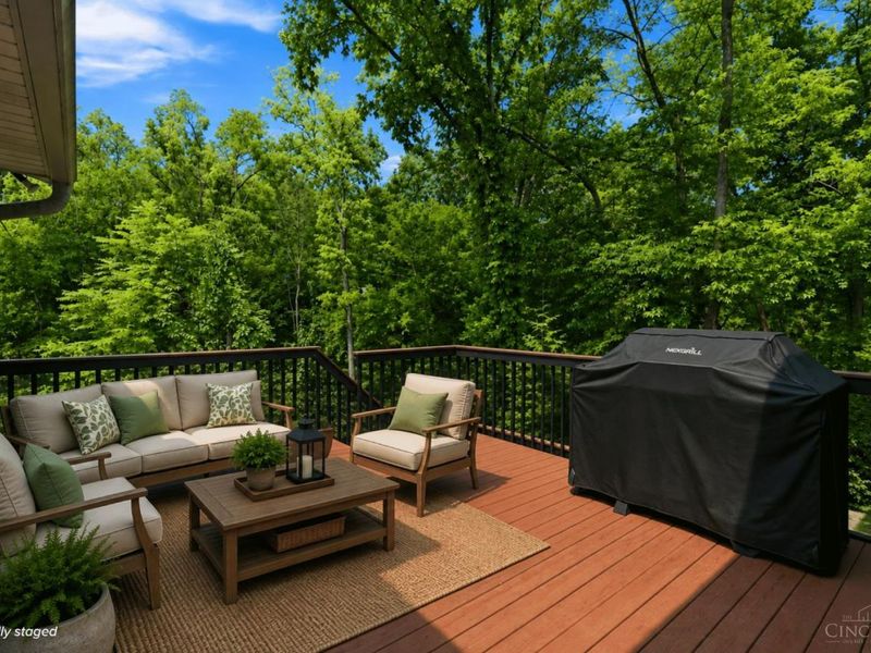 9667 Timbermill Court, Springfield Township, OH 45231 Photo 49