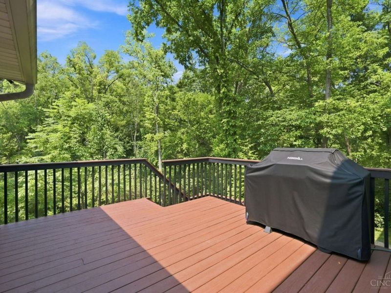 9667 Timbermill Court, Springfield Township, OH 45231 Photo 50