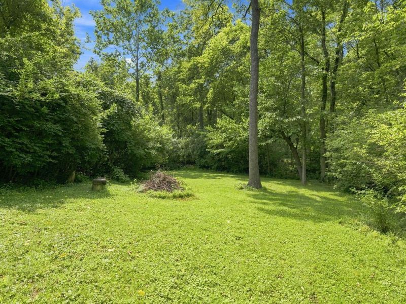 9667 Timbermill Court, Springfield Township, OH 45231 Photo 56