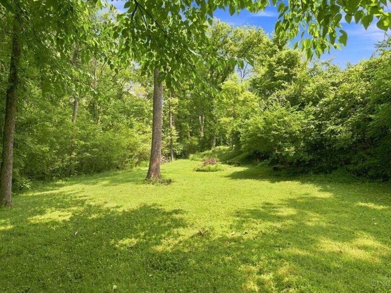 9667 Timbermill Court, Springfield Township, OH 45231 Photo 57