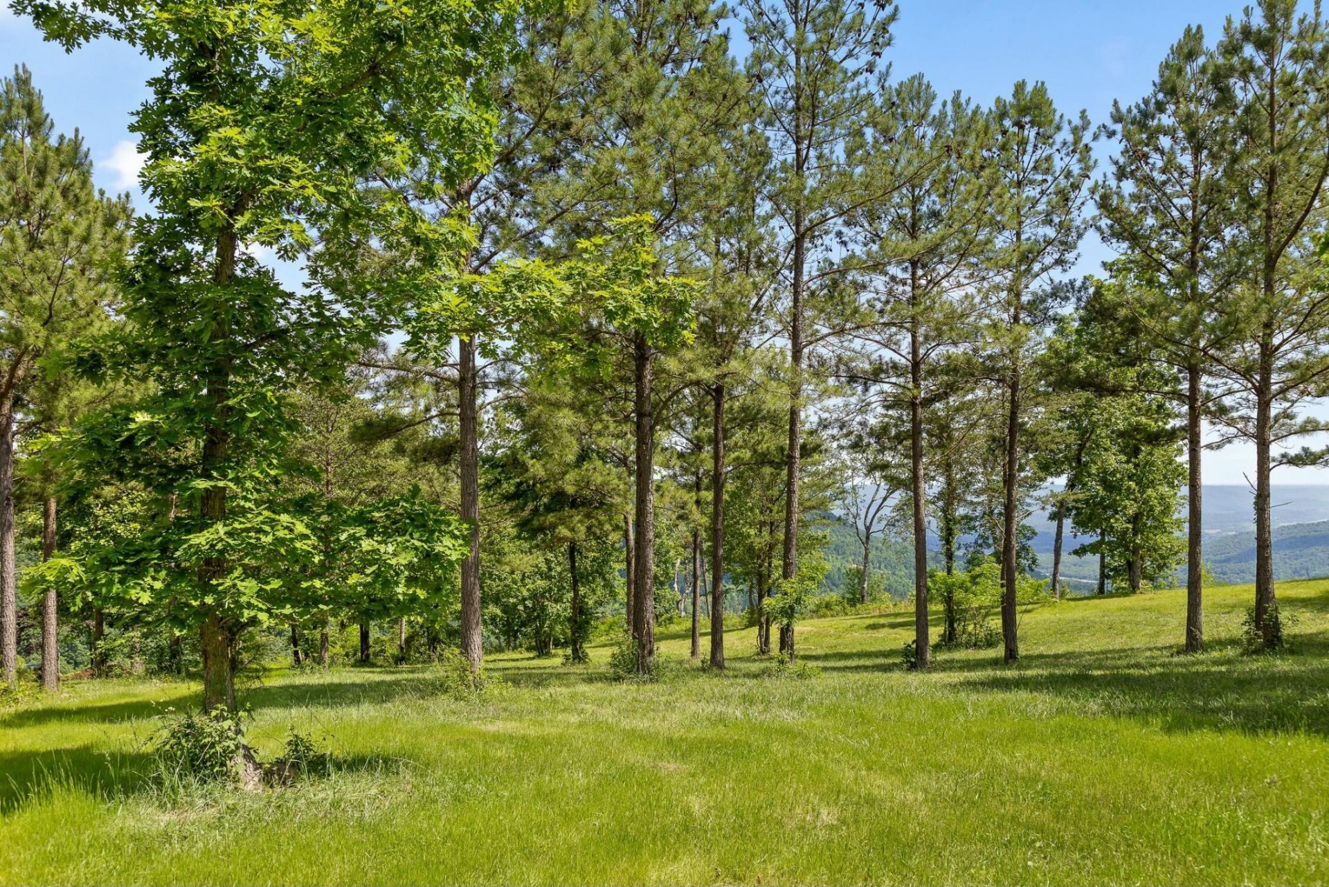 0 Sunset Circle , Lot #Lot 56, Jasper, TN 37347 Main Photo