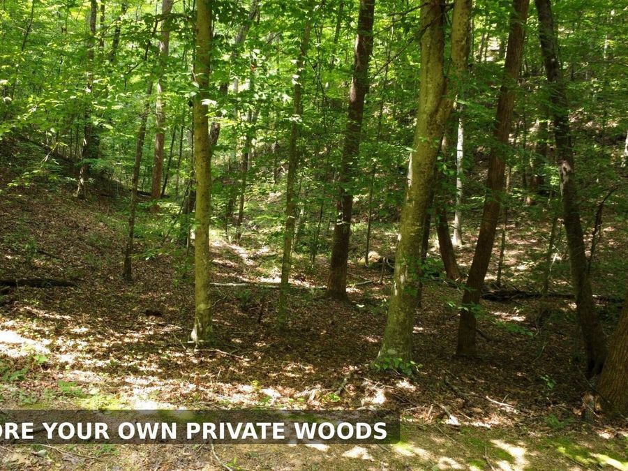 Property Image 11