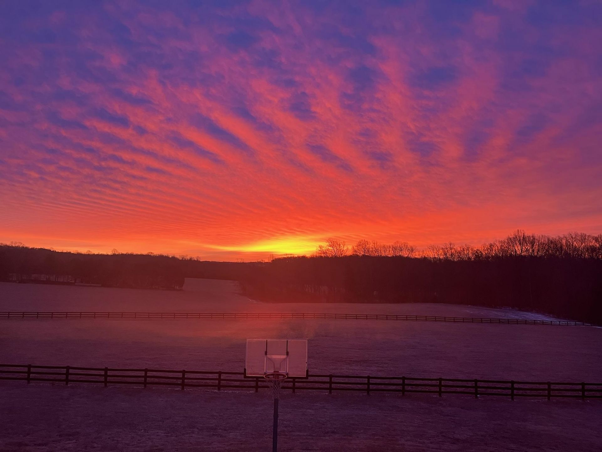 77 Pheasant Loop Photo 29