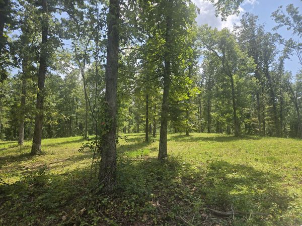 655 Dyer Rd , Unit Tract5, Hurricane Mills, TN 37078