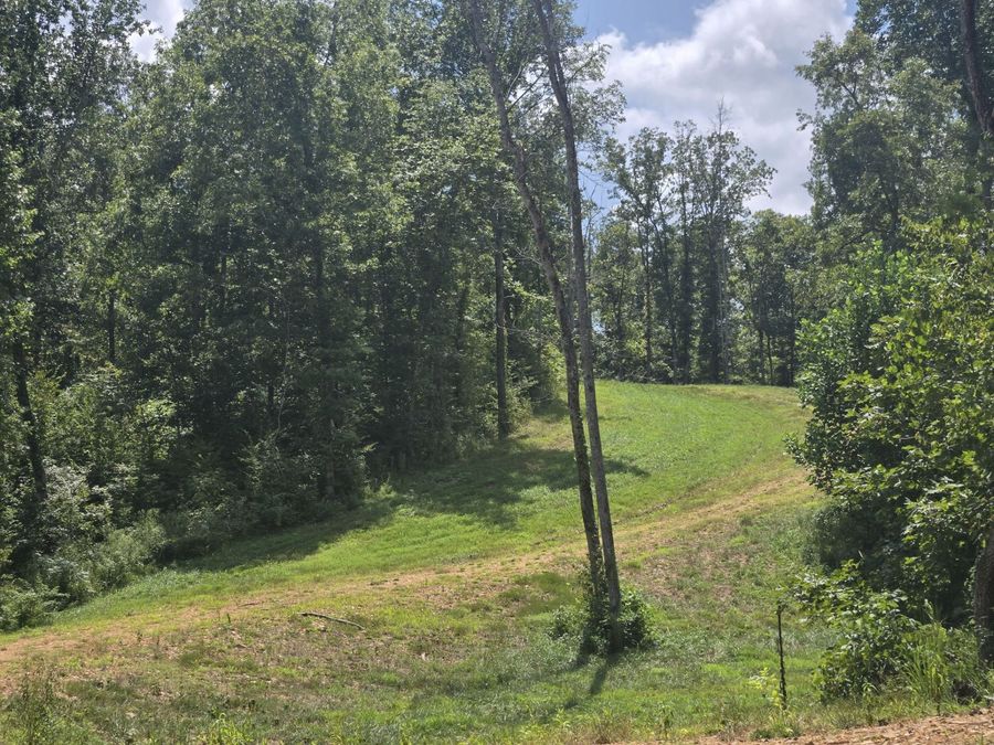 Property Image 7