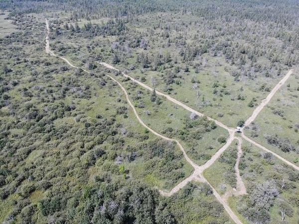 TBD 580th Street , Deer Creek, MN 56527