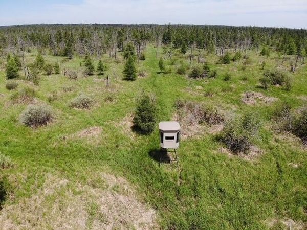 TBD 580th Street , Deer Creek, MN 56527
