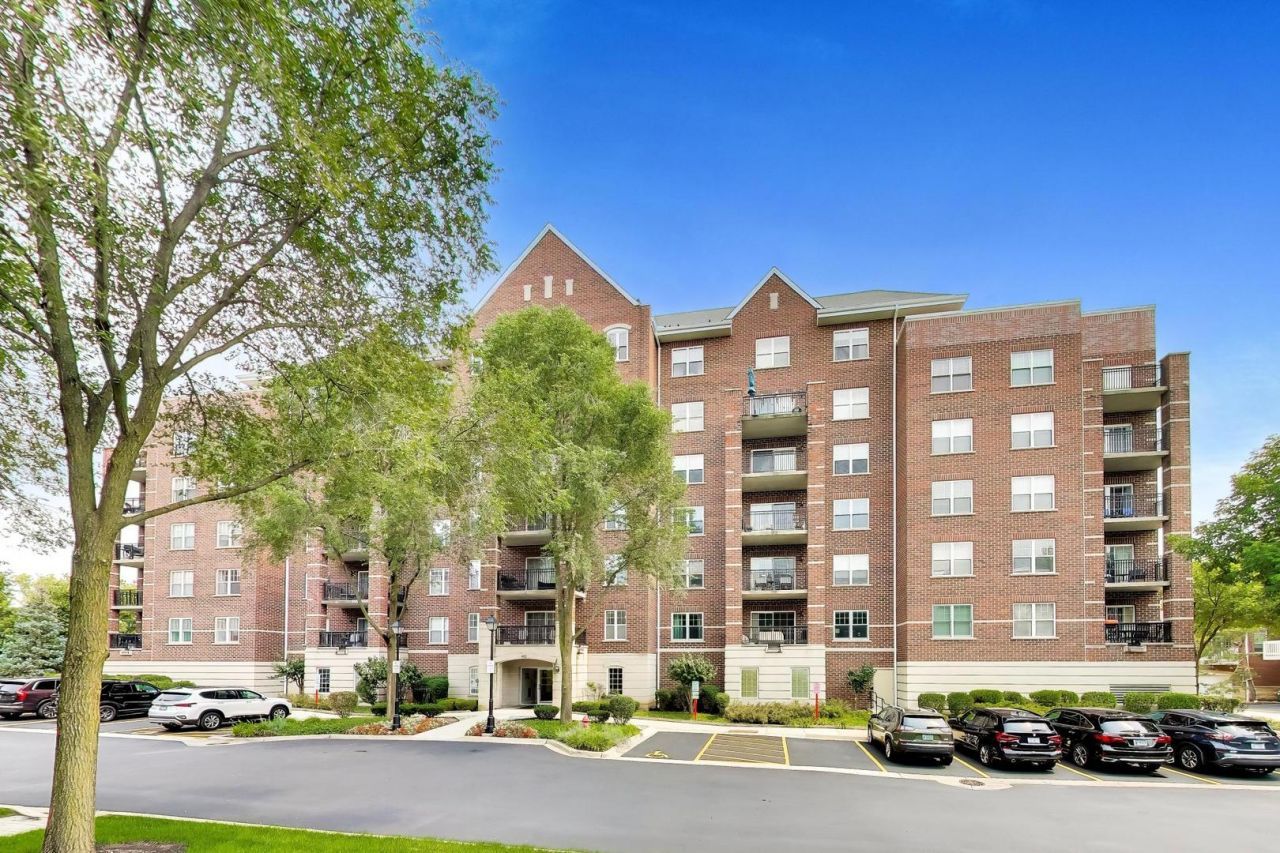 410 W Mahogany Court, Unit 205, Palatine, IL 60067 Main Photo