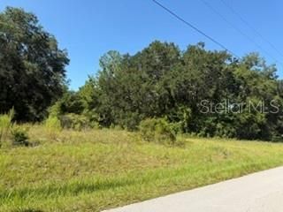 Tbd SE 59th Place , Ocklawaha, FL 32179 Main Photo