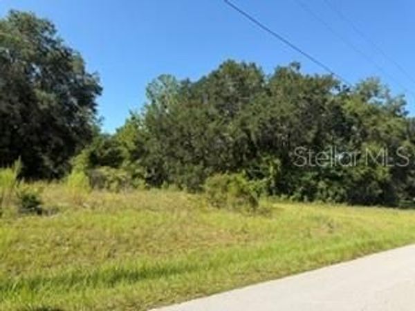TBD SE 59TH PLACE , OCKLAWAHA, FL 32179