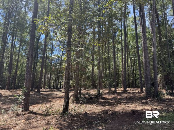 0 Bridgewood, Unit Lot 6, Spanish Fort, AL 36527